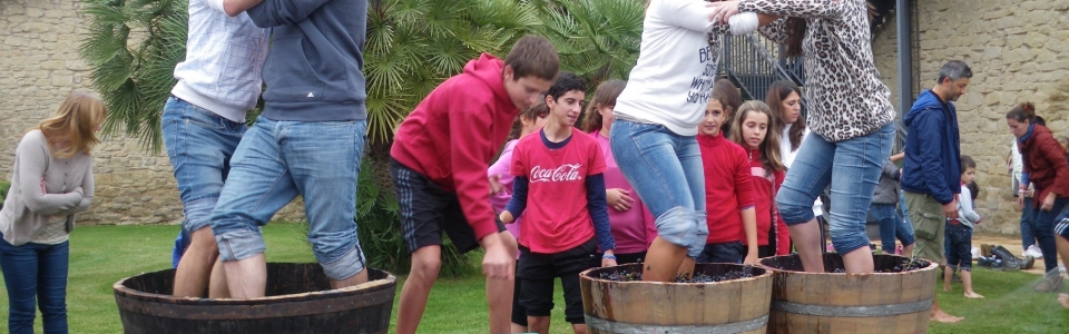 Vendimia con los niños, en La Rioja