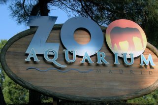 Campamentos para niños en el Zoo Aquarium de Madrid