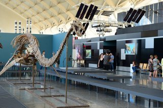 “Els nostres dinosaures”: Exposición familiar en Valencia