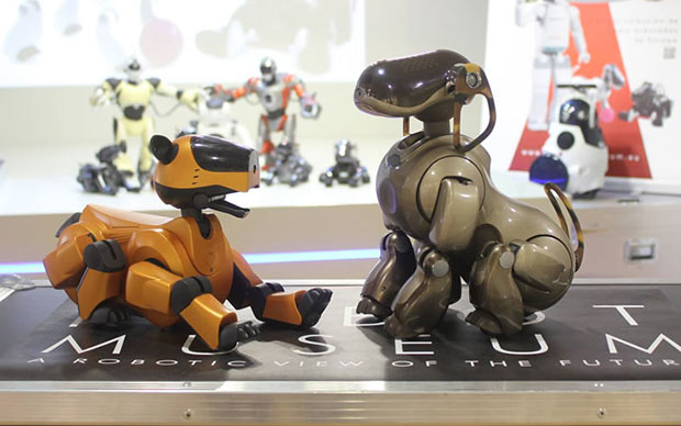 Museo del Robot: Exposiciones para los niños en Madrid