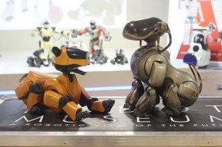 Museo del Robot: Exposiciones para los niños en Madrid