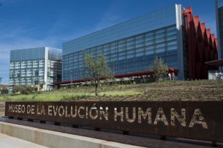 Exposición para niños en Burgos: “Ecos: Paisajes sonoros de la evolución humana”